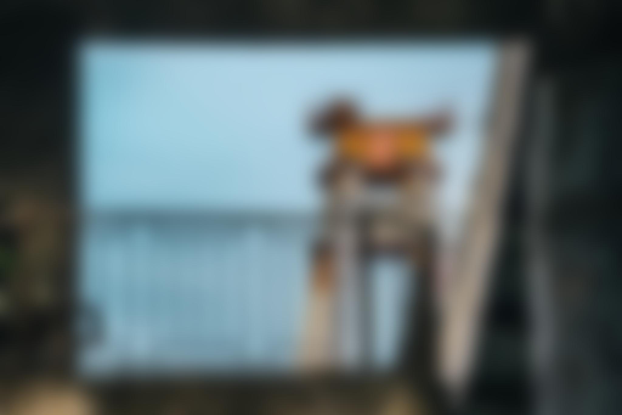 Services Banner